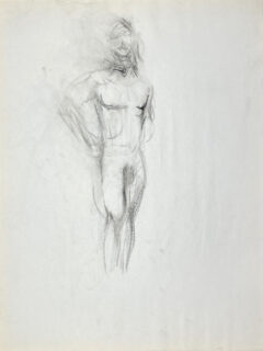 charcoal drawing of nude male model standing